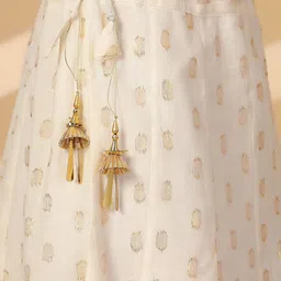 Clora Creation Women Self Design Embellished Cotton Flared Maxi Skirt image 4