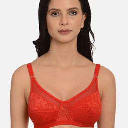 mod & shy Red Bra Pack of 2 Non-padded Non wired Mesh Net Minimizer Bra-picture-24