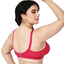 Designer Bugs Zan Pack of 3 Cotton Full Coverage Seamless T-shirt Bra image 5