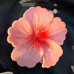 Radhya Accessories Women Set of 6 Claw Clip image 3