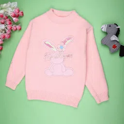 V-Mart Girls Embroidered Round Neck Long Sleeves Pullover-picture-22