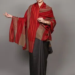 Exotic India Women Striped Embroidered Shawl image 4