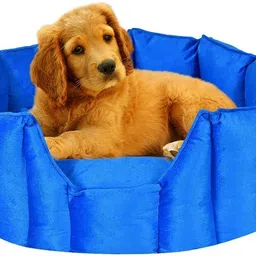 heaven luxurious Premium Quality Ultra Soft Velvet Sofa Dog Bed & Cat Bed| Puppies Puppy Pet Bed S Pet Bed-picture-16