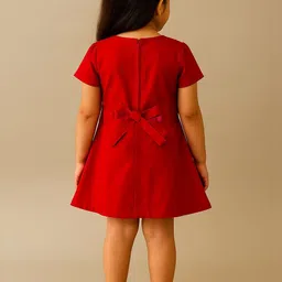 SARDAR DRESSES Embroidered A-Line Dress image 3