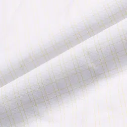 Arrow Windowpane Checks Spread Collar Slim Fit Formal Shirt image 3