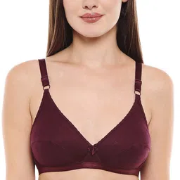 bodycare Women Full Coverage Non Padded Bra-picture-27