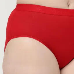 Floret Women Pack of 2 Assorted Briefs image 4