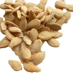 sbgarden petha seeds for home gardening/Ash gourd seed 34 Seed image 2