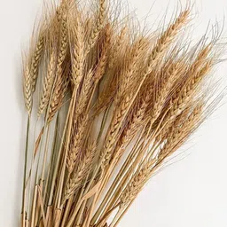 Vanchai Brown 1 Pieces Artificial Plant-picture-40