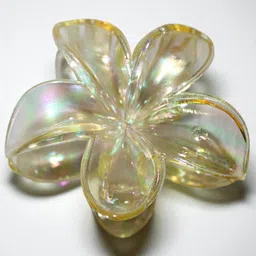 Jolly Faces Women Embellished Hair Claw-image-2