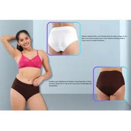ORLIZEA Pack of 2 Women High-Rise Cotton Blend Hipster Briefs image 5