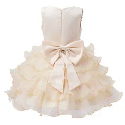 Wow Princess Net A-Line Dress image 3