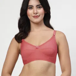 LILY akihdar Women Pack Of 4 Solid Full Coverage Non Padded Non Wired Regular Everyday Bra image 4