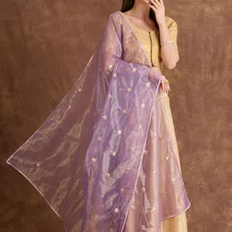 Dupatta Bazaar Embroidered Dupatta with Sequinned image 1