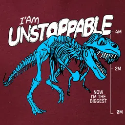 NUSYL Boys Printed Sweatshirt image 2