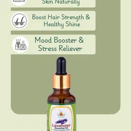 KUNJ 100% Natural Lavender Essential Oil - 30 ml image 2