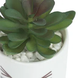 Myntra Elegant Homes Green & White Succulent Artificial Plant With Pot image 4
