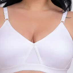 Fabme Pack of 4 Full Coverage Seamless Cotton Bra image 4