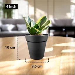 GARDEN'S NEED 5-Pcs Black Eco-Friendly Excal Planters image 5