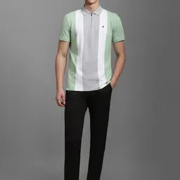 Louis Philippe Sport Men Striped Polo Collar Slim Fit T-shirt image 4