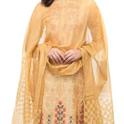 A R SILK DUPATTA HUB Woven Design Dupatta image 2