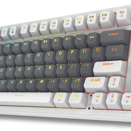 EVOFOX Ronin TKL RGB Mechanical Wireless Tenkeyless Desktop Keyboard Compatible with Desktop, Laptop, Mac-picture-28