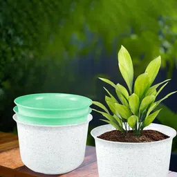 Kuber Industries 4Pcs White & Green Textured Planters With Plate-image-81