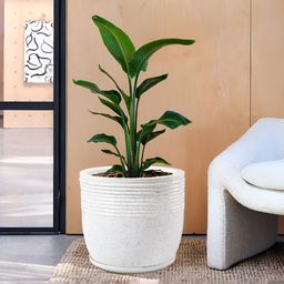 Myntra Elegant Homes White Textured Marble Unbreakable UV Protected Planter-picture-49