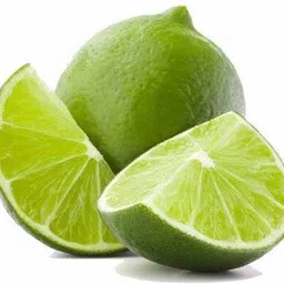 fsk Lemon Plant image 2