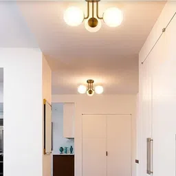 areezo Pendants Ceiling Lamp image 2