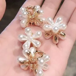 HANDBAG COLLECTION Women Set of 4 Claw Clip image 4