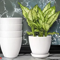 nursery hub (Pack of 5) Premium White 7 inch Dia. X 6 inch height gamla planter Plant Pots Plant Container Set image 1