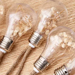 Home Centre Serena Transparent 8 Pieces Glass Ball Shaped String Lights image 3