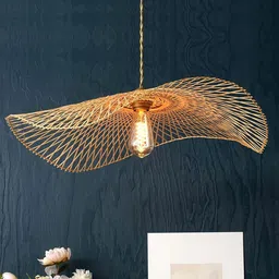 HABERE INDIA Unisex Beige Ceiling Lamps-picture-20