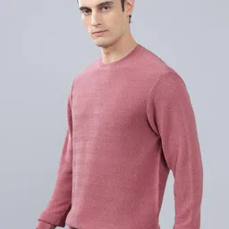 Cantabil Men Pullover image 4