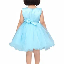 Aarika Net Fit & Flare Dress image 3