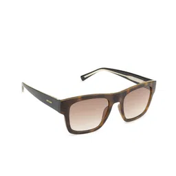 OPIUM Men Brown Plastic Wayfarer Sunglasses with UV Protected Lens OP-10267-C02-52-picture-34