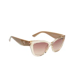 SCOTT Women Brown Lens & Brown Cateye Sunglass With UV Protected Lens-image-4