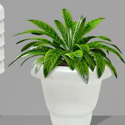 Urban Choice White 1 Pieces Core image 3