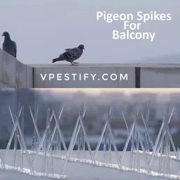 vpestify Bird Spike image 4