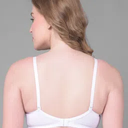 Dollar Missy Pack Of 2 Full Coverage Heavily Padded T-shirt Bras With All Day Comfort image 4