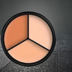 morbee 3-in-1 Full Cover Concealer Makeup Palette Cream c13 Concealer image 1