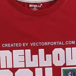 Biskid Boys Maroon Tshirts image 2