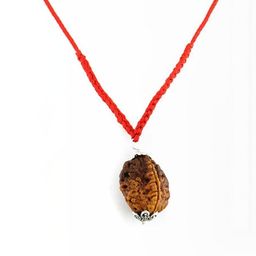 RAVIOUR LIFESTYLE Unisex Brown Pendant-picture-3