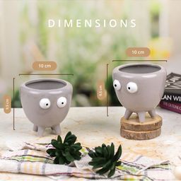TYOOHAR Grey 2 Pieces Artificial Plant With Pot-picture-15