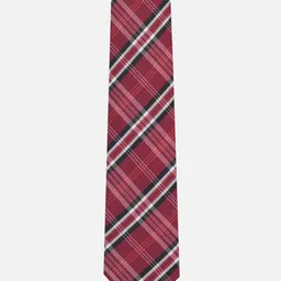 Van Heusen Men Checked Ascot Tie image 3