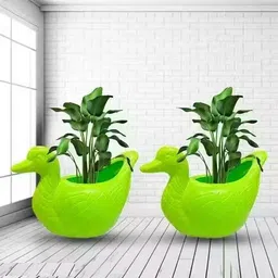 tafashionmart Plant Container Set-picture-39