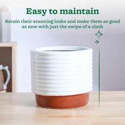 ugaoo Untold Stories Terracota Ceramic Planter image 4