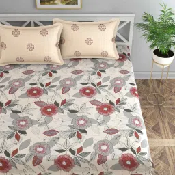 florida Cream Floral 144 TC Cotton King Sized Bedsheet Bedsheet 2 Pillow Prime Collection image 1