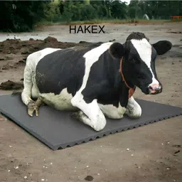 hakex Cow Mat_Waterproof Rubber Mat 8*5 Feet BPA Free For Horse Cow, Dog, Hamster, Guinea Pig, Miniature Pig Pet Mat image 5